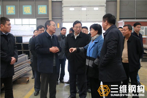 棗莊副市長霍媛媛，滕州市委書記邵士官蒞臨檢查